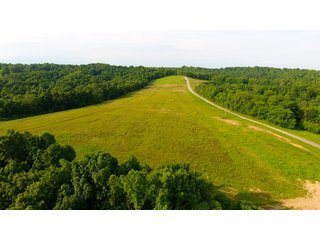 Property photo 37 - LAND AUCTION - 1,050+/- ACRES OFFERED IN 21 TRACTS PLUS 450+/- ACRE HUNTING LEASE IN MUSKINGUM COUNTY, OHIO
